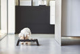 Load image into Gallery viewer, Desco
