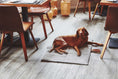 Load image into Gallery viewer, Cosmo
